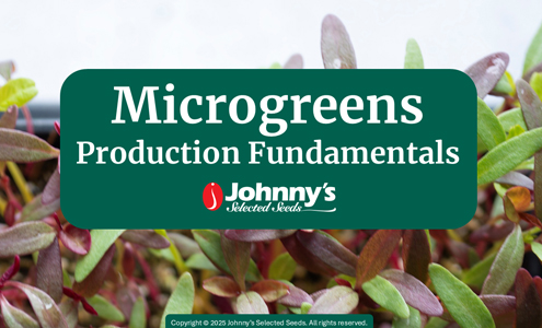 Microgreens Production Fundamentals