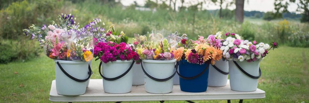 Forage Foam Blocks  Shop Wet Floral Foam for Foraged Flowers