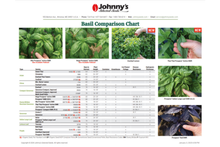 Basil Variety Comparison Chart