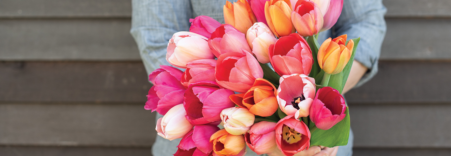 bouquet of colorful tulips