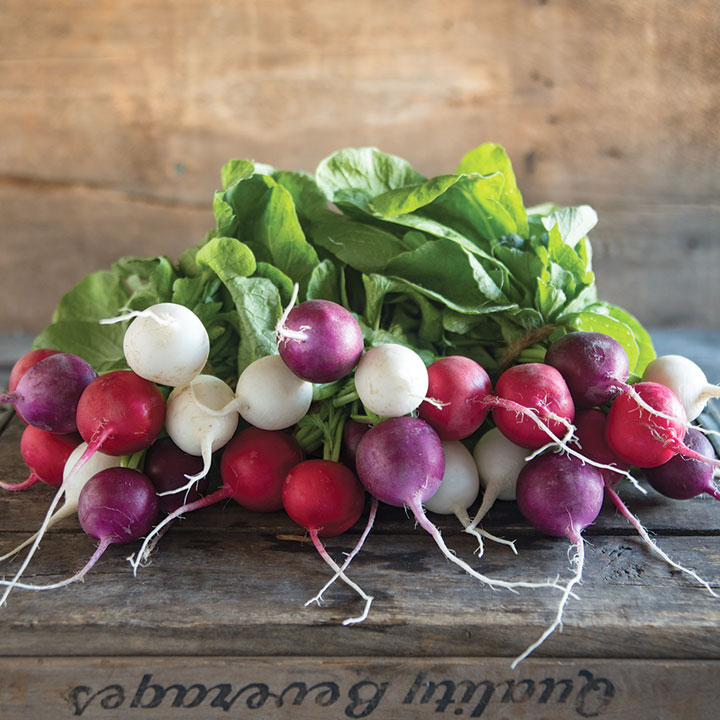 Colorful Radishes