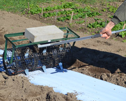 Weighted Bed Roller with Dibbles through Mulch