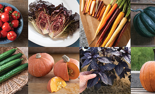 New-for-2023 • Vegetables and Herbs Webinar
