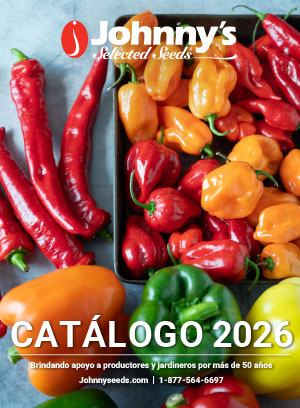 Español Catálogo Digital 2026
