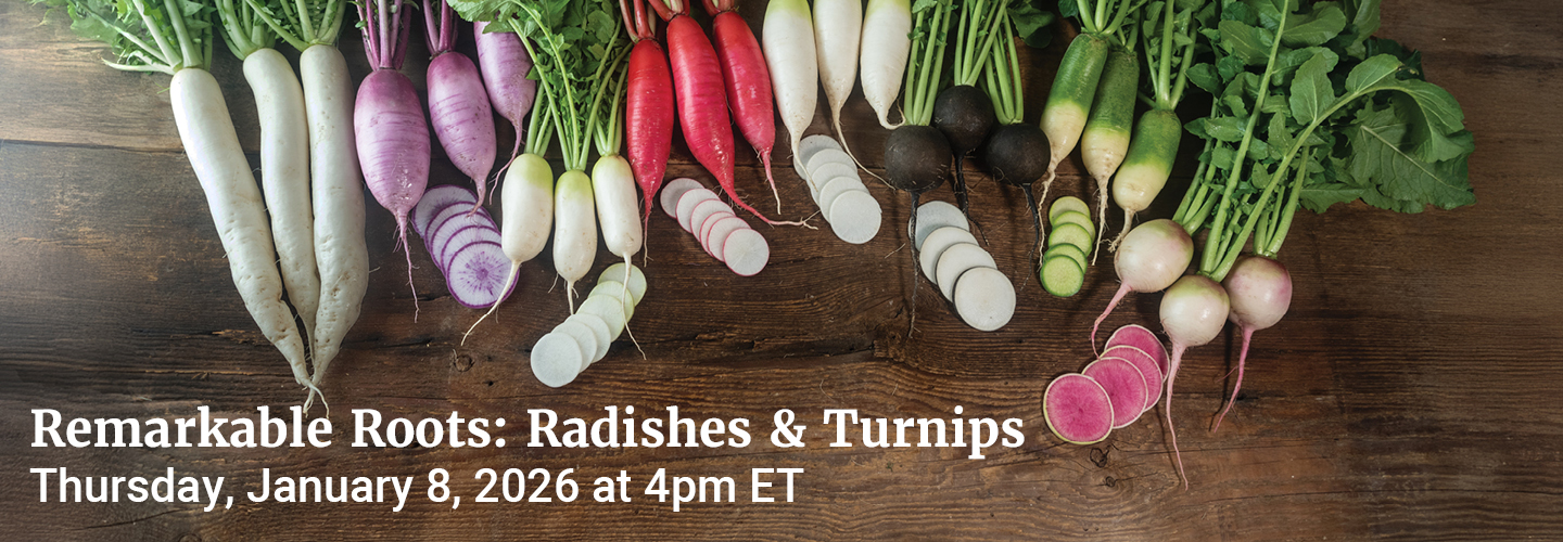 Remarkable Roots: Radishes and Turnips, Thursday, January 8, 2026 at 4pm ET