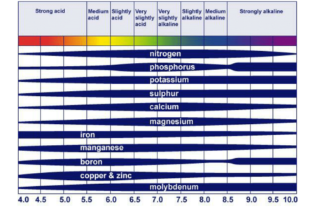nutrient availability by pH