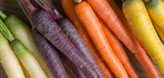 Multicolored Carrots at the Farmer's Market