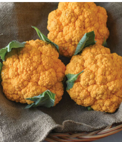 Clementine