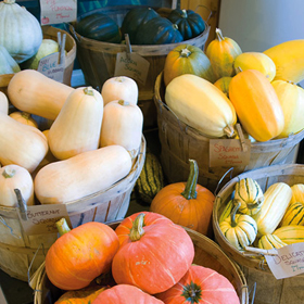 How to Grow Winter Squash