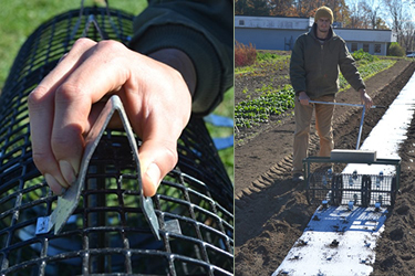 Snap-in Dibbles for the Seedbed Roller