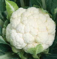 Skywalker Organic Cauliflower