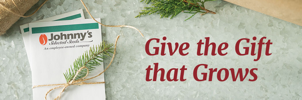 Give the gift that grows: tools, kits, and innovations for the holidays