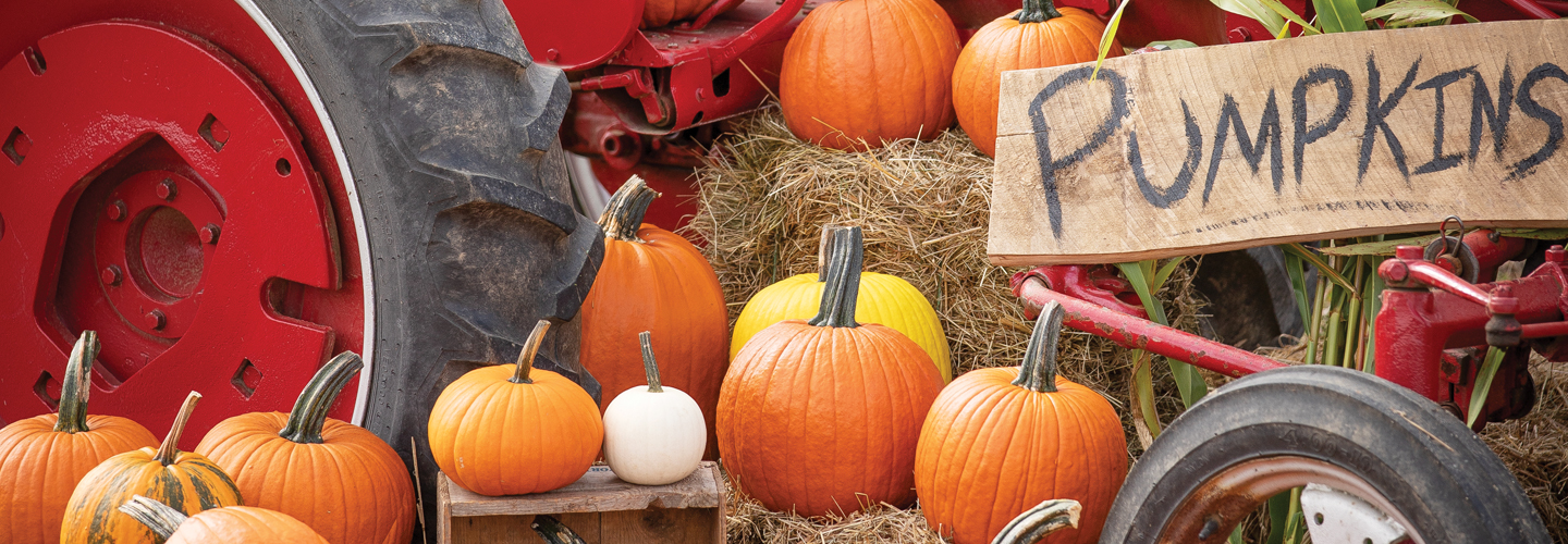 Mixed pumpkins