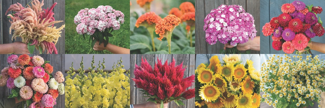 montage of flowers