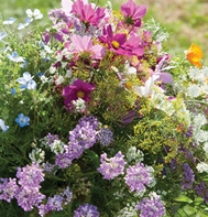 Flower Lover