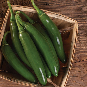 Altiplano Serrano Peppers