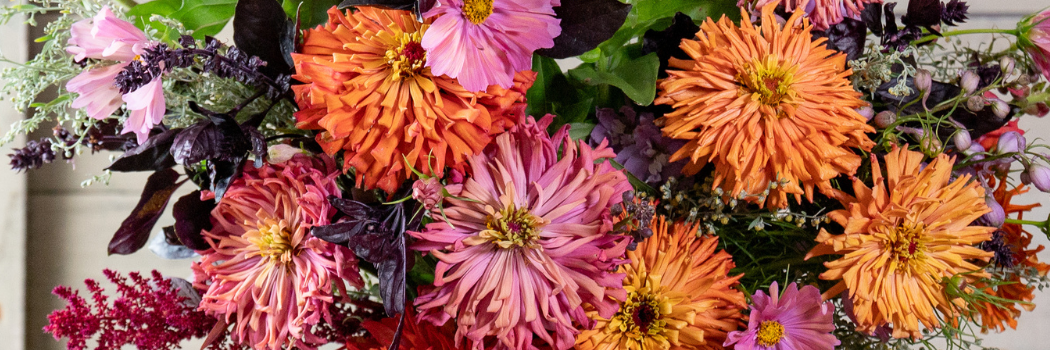 Flower Growing Information from Johnny's Selected Seeds