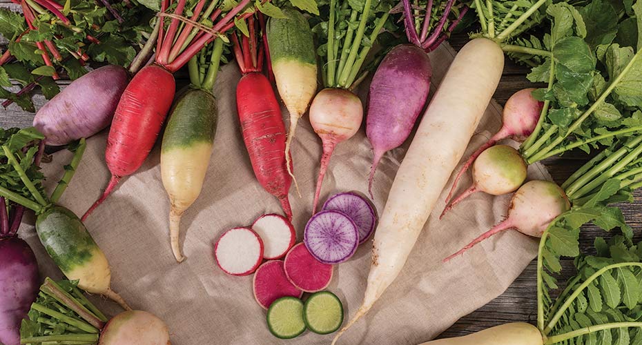 Specialty & Daikon Radish Planting Program