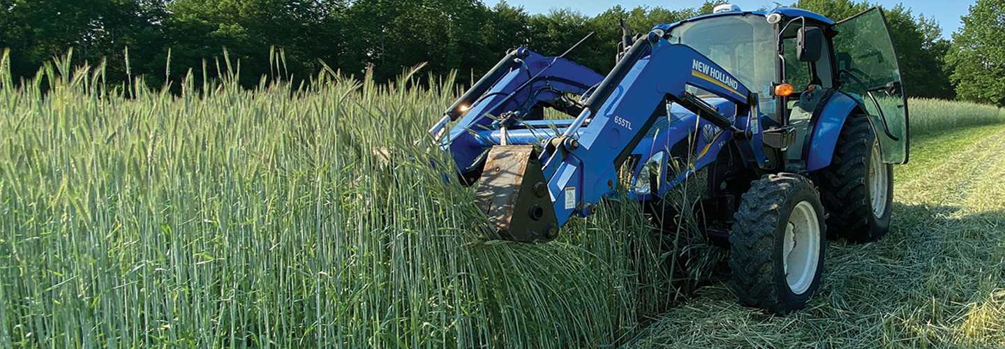 plowing under cover crops in field