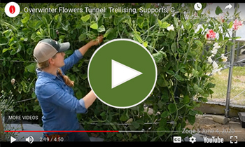 View Our Overwinter Flower Tunnel Trellising, Ground Cover & Spacing Video