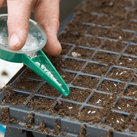 Seed Starting Supplies
