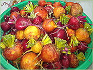 Biodynamic beets