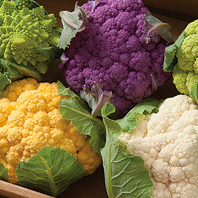 How to Grow Cauliflower