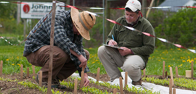 Plant Variety Trials at Johnny's Selected Seeds