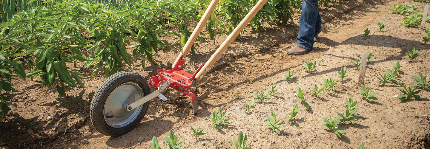 using wheel hoe in field