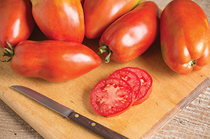 Blue Beech is a sausage-type heirloom paste tomato that fairly brims with flavor. Blue Beech is a sausage-type heirloom paste tomato that fairly brims with flavor.