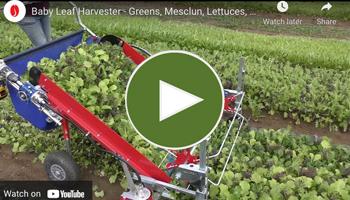 View Our Baby Leaf Greens Harvester Video
