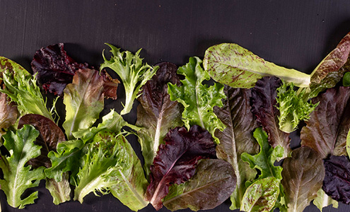 Baby Leaf Greens: 12 Picks for Market Growers Webinar