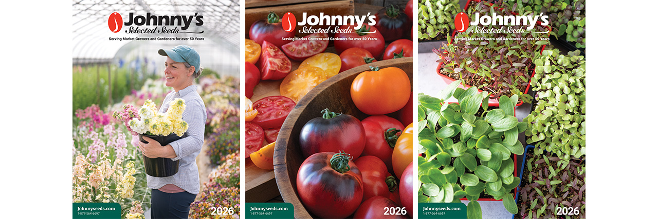 Request a Free Catalog