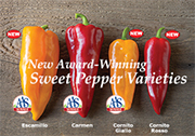 AAS Winners • Corno di Toro Peppers