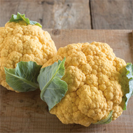 Flame Star Cauliflower