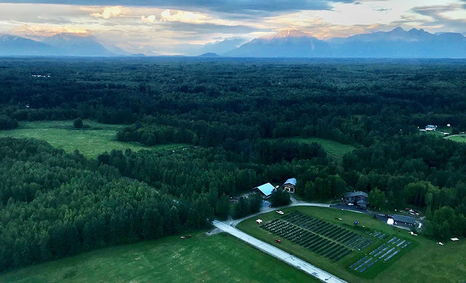 Aerial view, member farm of Alaska Peony Cooperative