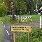 Visit Louie's Pumpkin Patch in Skovde, Sweden