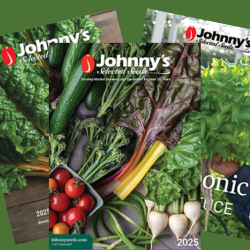 digital catalogs
