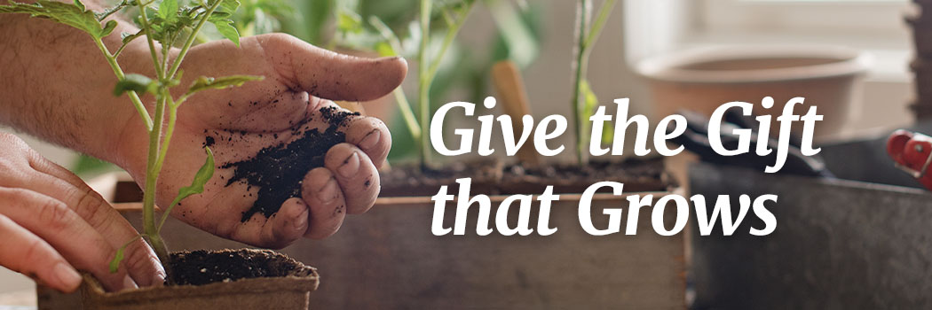 Give the gift that grows: tools, kits, and innovations for the holidays
