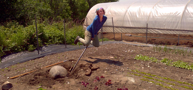 Gaining Efficiency on the Farm