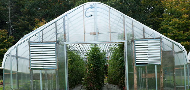 Greenhouse Growing Basics