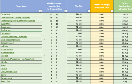 Planning Tools & Calculators