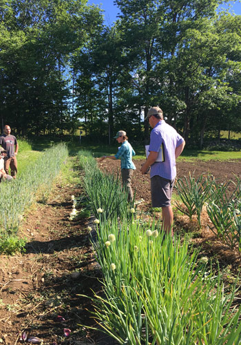 Pete & Rachel presenting the onion field forum