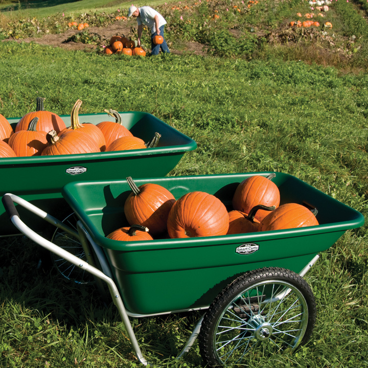green garden carts filled with orange pumpkins