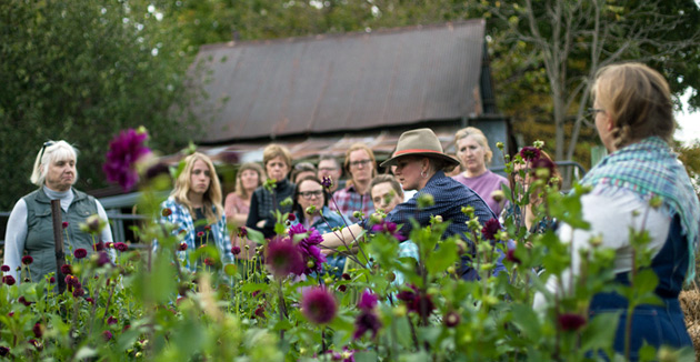 Hilltop Community Farm & Five Green Acres Floral Workshop