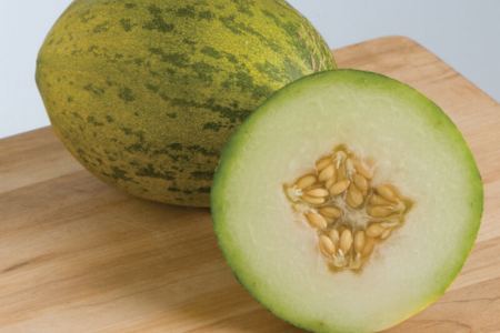 piel de sapo melon