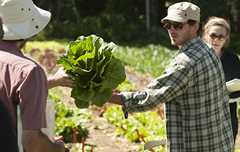  'Auvona' is an open-heart romaine that differs from traditional romaines in leaf shape, dimension, and ease of preparation.