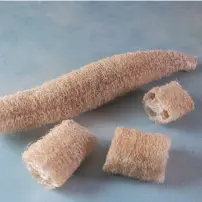 luffa gourd