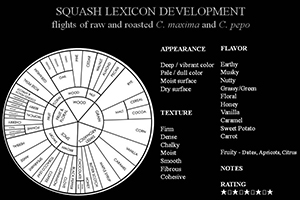 Flavor Characteristics Wheel