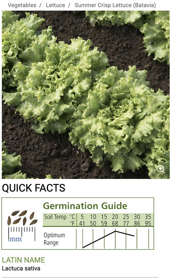 Consult our Germination Guides for optimal temperature range